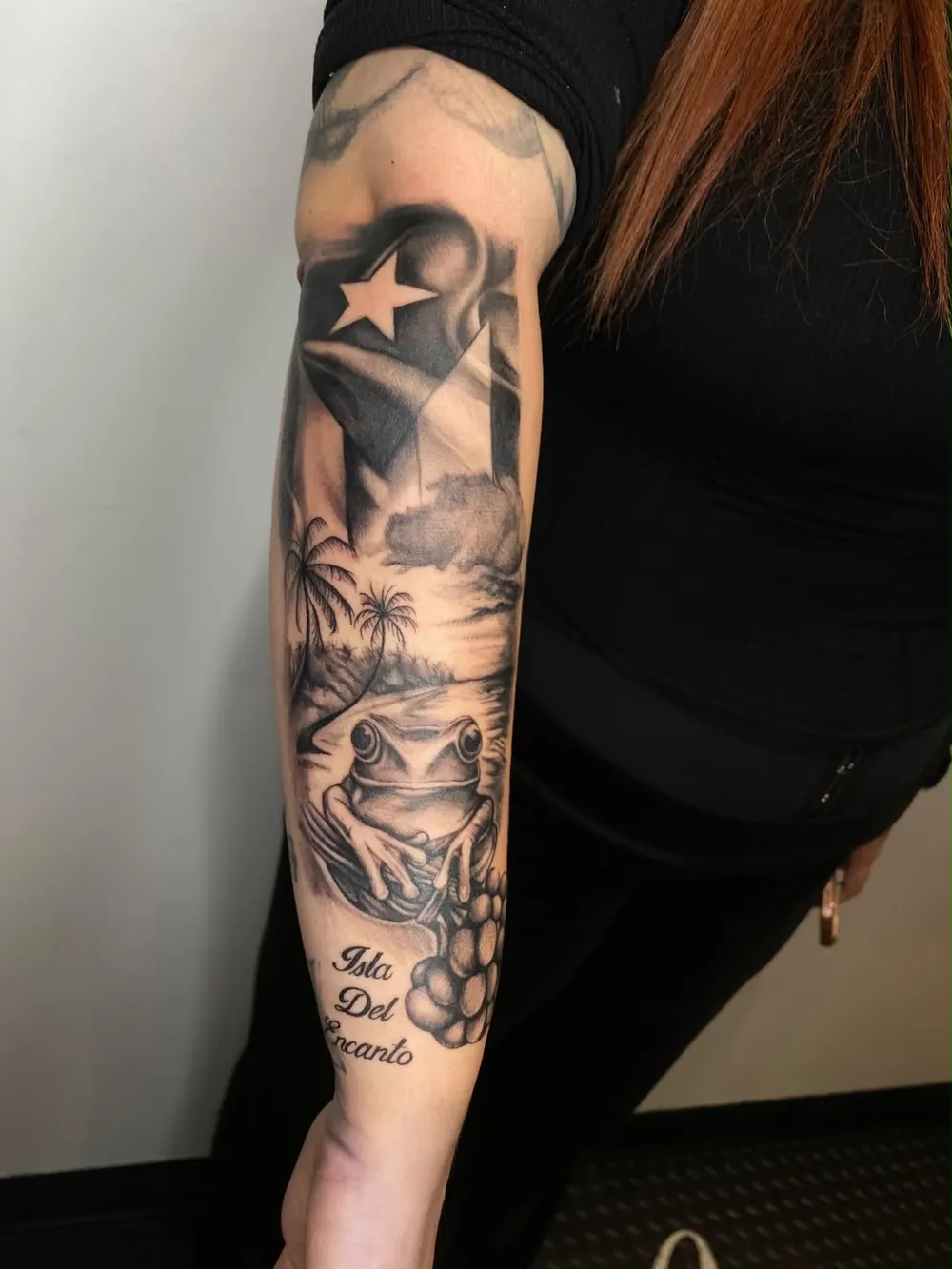 Puerto Rico flag, palm beach and coquí frog sleeve reading Isla Del Encanto